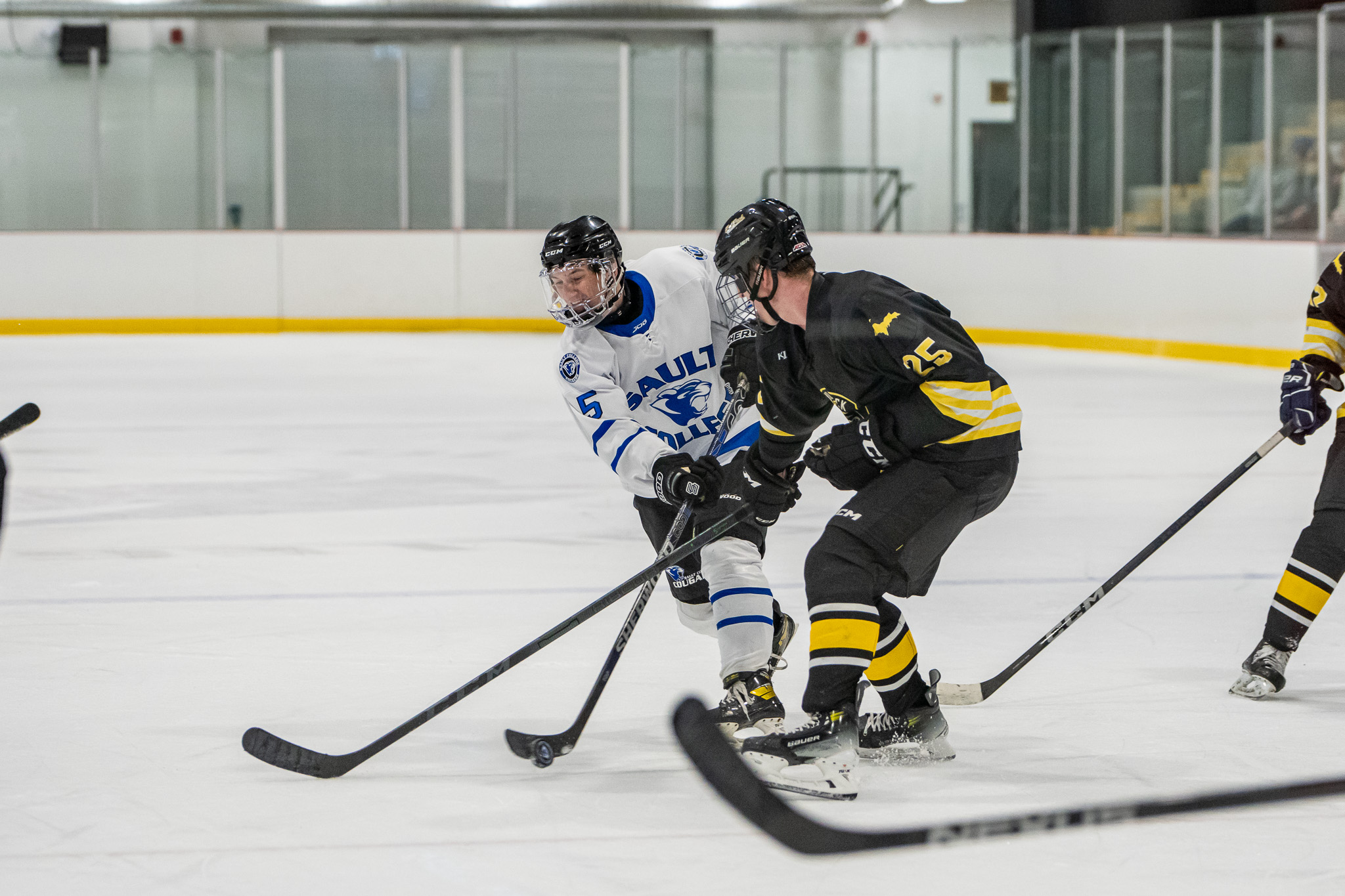 Cougars Men's Hockey Brings Home 2 Wins on Opening Weekend!