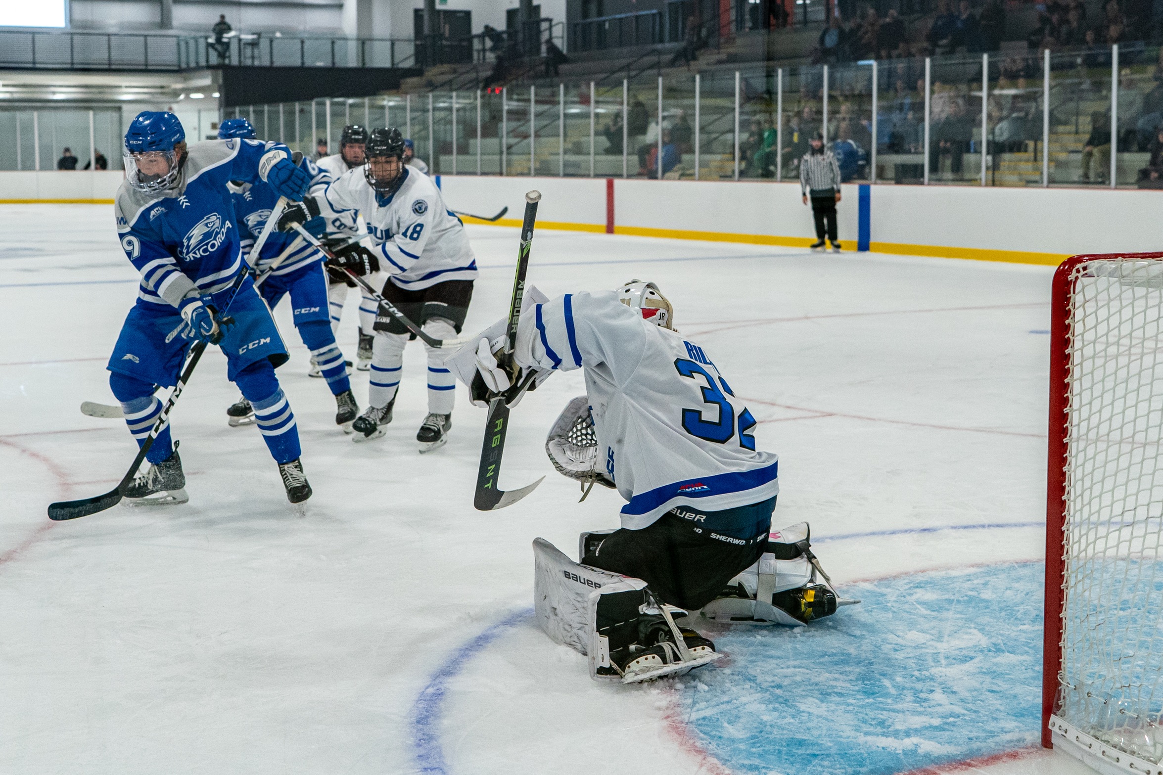 Sault College drops back-to-back versus Lindenwood